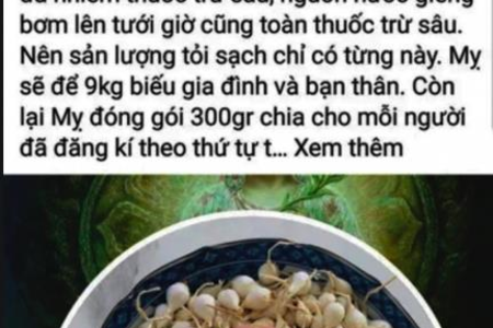 Facebooker Lương Hoàng Anh bị xử phạt 12,5 triệu đồng vì tung tin thất thiệt về tỏi Lý Sơn