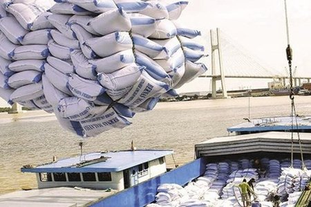 Việt Nam tạm dừng xuất khẩu gạo từ 0h ngày 24/3
