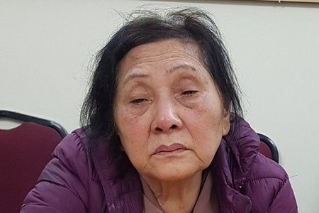 Bắt giữ cụ bà 74 tuổi gây ra hàng loạt vụ trộm cắp ở Hải Phòng