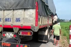 Phát hiện xe tải chở 8 người ẩn nấp trong thùng để trốn khai báo y tế