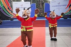 SEA Games 31 bị hoãn sang năm 2022 vì dịch COVID-19