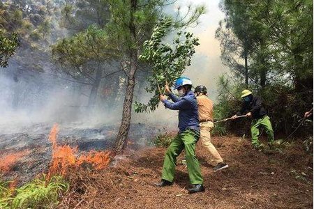 Hà Tĩnh: Phát hiện thi thể người đàn ông chết cháy trong rừng keo