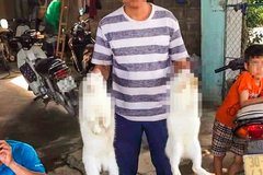 Bắt nghi phạm liên quan đến vụ phát hiện thi thể người đàn ông trong bao tải dưới ao