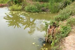 Phát hiện thi thể người phụ nữ dưới đập nước sau 2 tiếng rời khỏi nhà