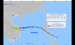 Áp thấp nhiệt đới suy yếu từ cơn bão số 5 ở trên biển từ Đà Nẵng đến Quảng Ngãi