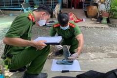 An Giang: Tạm giữ đối tượng cầm cây xăm gạo đâm 3 người thương vong