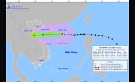 Bão số 8 cách quần đảo Hoàng Sa 260km, gió giật cấp 14