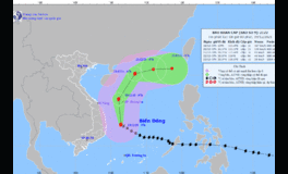 Bão số 9 cách Bình Định - Phú Yên 230km, giật trên cấp 17