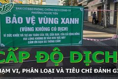 33 tỉnh, thành là vùng xanh; tra cứu thông tin cấp độ dịch COVID-19 để về quê ăn Tết ở đâu?