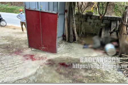 Lạng Sơn: Em trai đâm anh ruột tử vong vì tranh chấp đất vườn