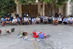 Cảnh sát triệt phá điểm cá độ đá gà ngày Tết ở An Giang