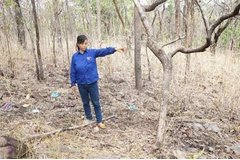 Khởi tố người phụ nữ cùng nhân tình lên kế hoạch giết chồng rồi tạo hiện trường giả