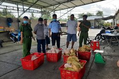 Phát hiện gần 3,5 tạ thực phẩm đông lạnh không rõ nguồn gốc tại Cần Thơ