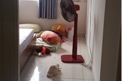 Bình Dương: 2 người đàn ông tử vong cách nhau 5km