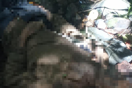 Phát hiện thi thể nam giới đang phân hủy trong rừng ở Đà Lạt