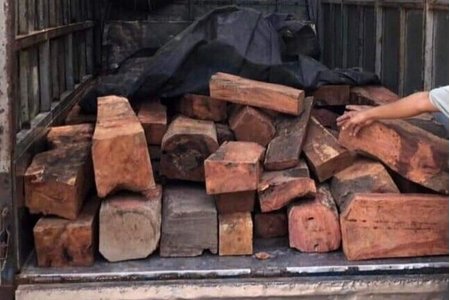Quảng Trị: Phát hiện tài xế chở 1,5 tấn gỗ hương lậu