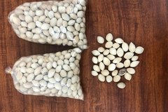 Bị lừa mua bạch quả chữa bệnh, người phụ nữ mất 300 triệu đồng