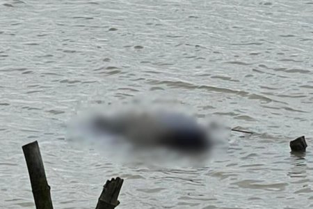 Tìm thấy thi thể nam thanh niên 18 tuổi trên sông Lam sau 2 ngày mất tích