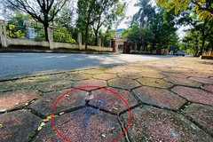 Hà Nội: Truy tố 2 bố con đánh chết người trước cổng trụ sở VKSND huyện Phúc Thọ