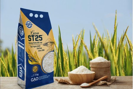 Gạo lúa tôm ST25 AGH tinh tuý ‘hương thơm đất mẹ’