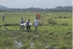 Phát hiện thi thể người đàn ông giữa cánh đồng ở TP.Bà Rịa