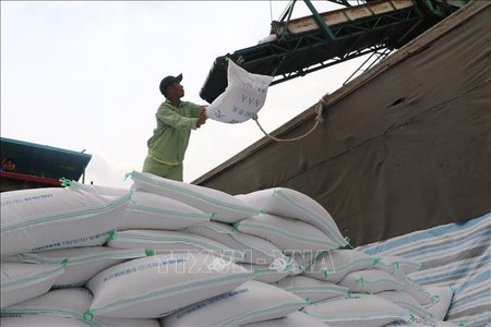 Đề xuất sửa đổi Nghị định 107/2018/NĐ-CP về kinh doanh xuất khẩu gạo
