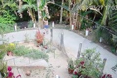 Tạm giữ đối tượng đánh hàng xóm tử vong ở Tiền Giang