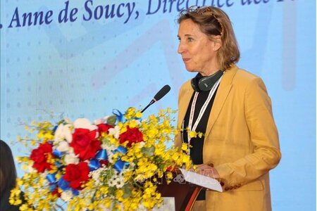 Tăng cường hợp tác cấp địa phương Việt Nam - Pháp