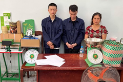 Triệt phá đường dây trồng, tiêu thụ cần sa quy mô lớn ở TP.HCM