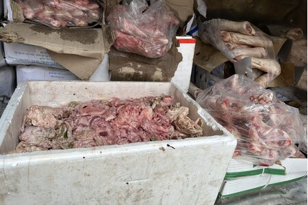 Bắc Giang: Phát hiện gần một tấn thực phẩm bẩn chuẩn bị đưa vào bếp ăn khu công nghiệp 