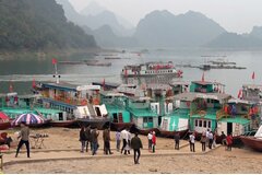 Giám đốc bến cảng du lịch Thung Nai bị khởi tố về tội 'Trốn thuế'