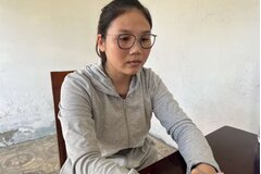 Tạm giữ hình sự Giám đốc Công ty BĐS lừa đảo chiếm đoạt hơn 3 tỷ đồng