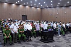 Vụ 'chuyến bay giải cứu': Nhiều bị cáo khai bị ép đưa hối lộ