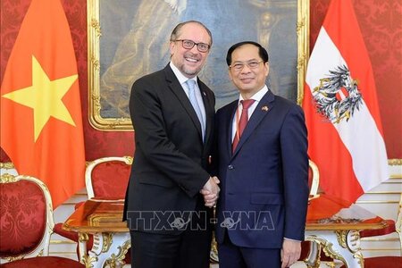 Bộ trưởng Ngoại giao Bùi Thanh Sơn gặp Bộ trưởng Ngoại giao Áo