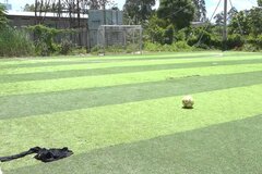 Đồng Tháp: Thiếu niên 15 tuổi bị đâm tử vong trên sân bóng