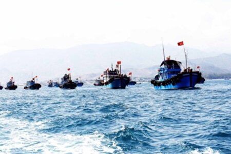 Quyết tâm xử lý dứt điểm vi phạm về khai thác hải sản bất hợp pháp