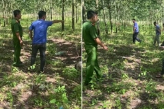 Bình Phước: Anh em ruột đánh nhau thương vong vì mâu thuẫn cạo mủ cao su