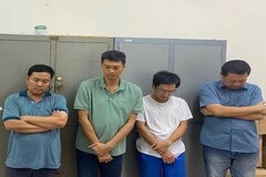 Đồng Nai: Khởi tố giám đốc công ty tổ chức khai thác đất trái phép