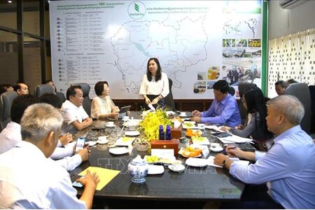 Nhiệm vụ, cơ cấu tổ chức của Ủy ban Nhà nước về người Việt Nam ở nước ngoài
