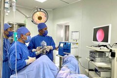 3 Luật có hiệu lực từ 01/01/2024