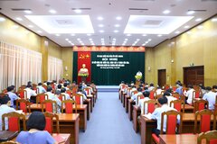 Xử lý kịp thời, nghiêm minh đối với tổ chức đảng, đảng viên vi phạm