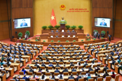 Quốc hội biểu quyết Luật Đất đai và Luật Các tổ chức tín dụng