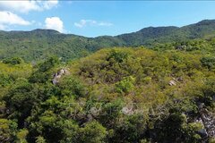 Nâng cao chất lượng rừng, bảo tồn hệ sinh thái và phòng, chống thiên tai