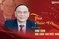 Thư chúc Tết của Chủ tịch Hội Luật gia Việt Nam gửi cán bộ, hội viên Hội Luật gia Việt Nam