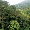 Tăng cường công tác quản lý, bảo vệ và phát triển rừng