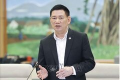 Giám sát kinh doanh bảo hiểm, casino, trò chơi điện tử có thưởng