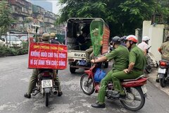 Tổ chức triển khai quyết liệt, có hiệu quả công tác phòng, chống bệnh dại