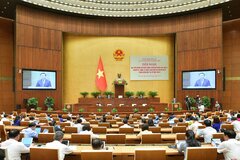 Hội nghị ĐBQH hoạt động chuyên trách thảo luận 9 dự án luật