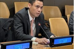 Việt Nam đảm nhiệm cương vị Chủ tịch Nhóm châu Á - Thái Bình Dương tại LHQ