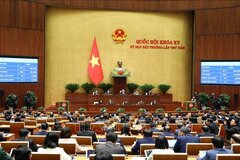 Triển khai thi hành Luật Các tổ chức tín dụng